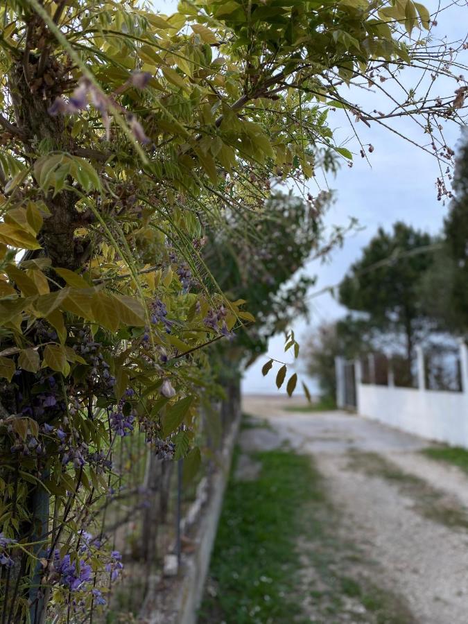 Endless Green: Feel Free And Cozy In Nature Perivólion Esterno foto