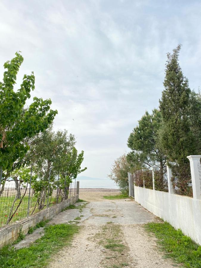 Endless Green: Feel Free And Cozy In Nature Perivólion Esterno foto