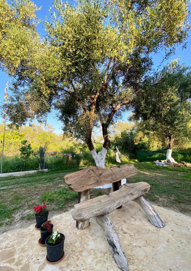 Endless Green: Feel Free And Cozy In Nature Perivólion Esterno foto