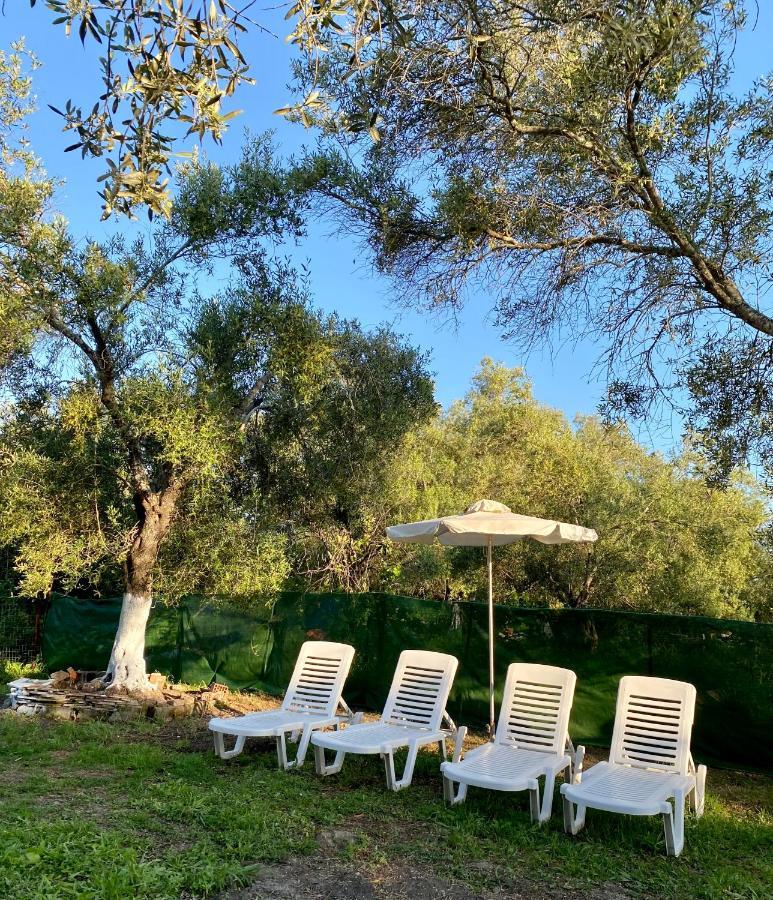 Endless Green: Feel Free And Cozy In Nature Perivólion Esterno foto