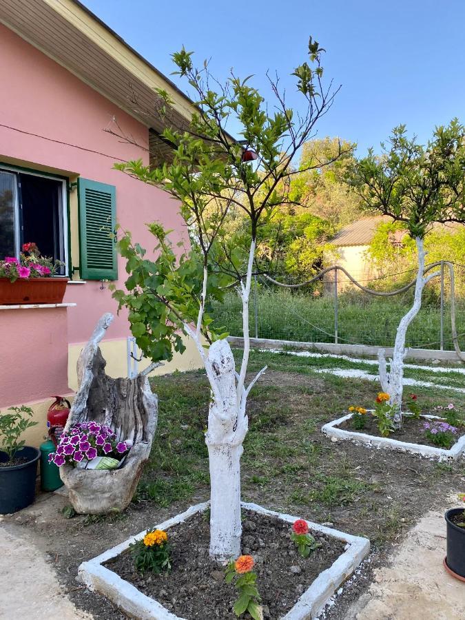 Endless Green: Feel Free And Cozy In Nature Perivólion Esterno foto