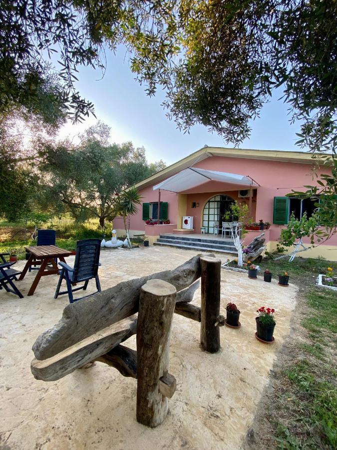 Endless Green: Feel Free And Cozy In Nature Perivólion Esterno foto